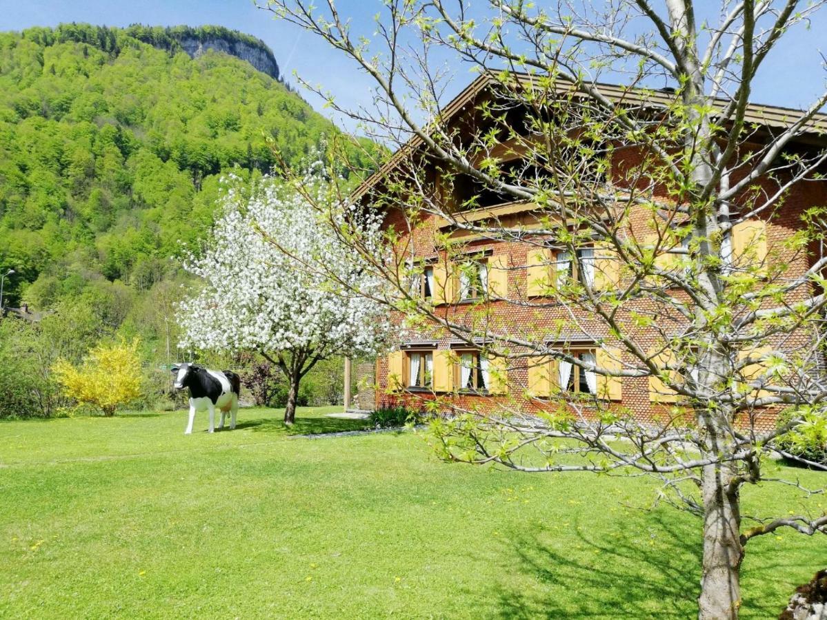 梅劳Haus Helena公寓 外观 照片